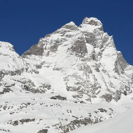 Appartamento Cervino Valley House Rododendro